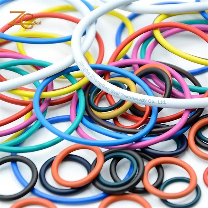 Customized Coating PTFE Seal O-ring